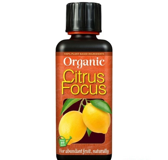 GROWTH TECHNOLOGY ORGANIC CITRUS FOCUS 300 ML