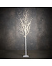 Giftsome Lichtboom met Timer