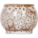 Kolibri Home  Safari pot  9 cm