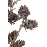 J-Line Bundle Pine Cones Plastic Brown/Gold