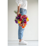 J-Line Bouquet Ball Mum Plastic Dark Purple