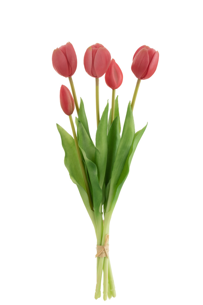 J-Line Bouquet Tulips 5 Pieces PU Bright Pink Medium