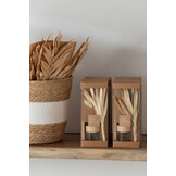 J-Line Basket Round With Stripe + Handle Reed Natural/White