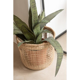 J-Line Set Of 5 Baskets Oasis Seagrass Light Natural