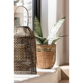 J-Line Set Of 5 Baskets Oasis Seagrass Light Natural