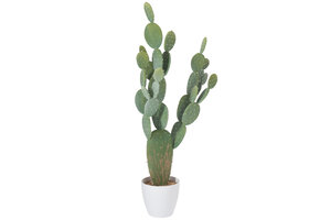 J-LINE CACTUS + POT PLASTIC GROEN/WIT XL