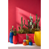 J-LINE CACTUS + POT PLASTIC GROEN/WIT XL