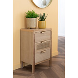 J-LINE CRASSULA/ALOE VERA/LOTUS + POT GREEN SMALL – SET VAN 3