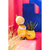 J-LINE CRASSULA/ALOE VERA/LOTUS + POT GREEN SMALL – SET VAN 3