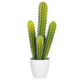 J-LINE CACTUS 5 DELEN GROEN