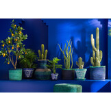 J-LINE CACTUS 5 DELEN GROEN