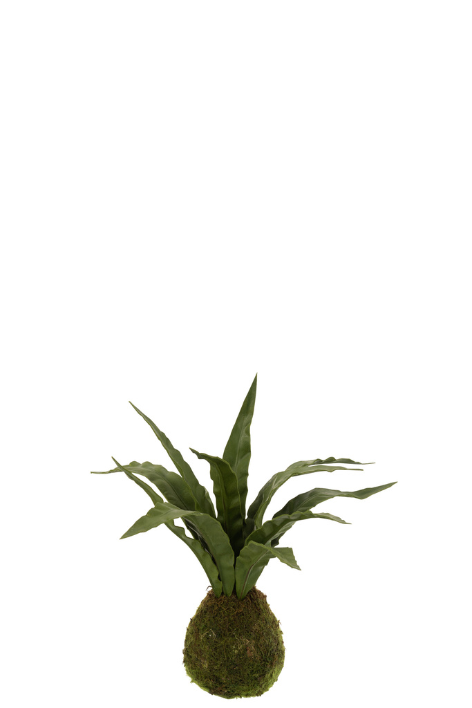 J-LINE SNAKE PLANT BALL SOIL PLASTIC GROEN