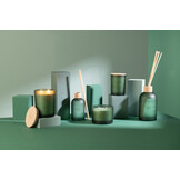 J-LINE REED DIFFUSER ACCORDS ESSENTIELS – BOIS GIVRÉ 550ML