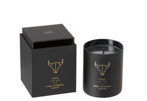 J-LINE GEURKAARS ASTRO STIER BLACK - 50H