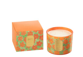 J-LINE GEURKAARS FLOWERS ORANGE/GREEN SMALL - 30H