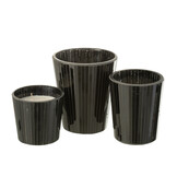 J-LINE GEURKAARS NOA SPICY TWILIGHT BLACK LARGE - 60H