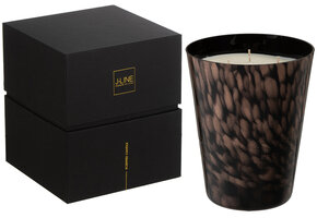 J-Line Scented Candle Noa Sandalwood Black/Gold Large