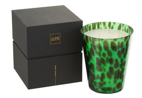 J-LINE GEURKAARS NOA GROEN LARGE 95 UUR