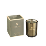 J-LINE SCENTED CANDLE EXCELLENT BERGAMOT WOOD GROEN SMALL - 50U