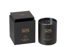 J-LINE GEURKAARS ASTRO PISCES ZWART – 50 UUR