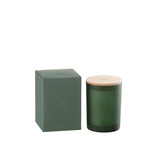 J-LINE SCENTED CANDLE ACCORDS ESSENTIELS BOIS GIVRÉ - 38 HOURS