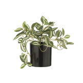 J-Line Tradescantia in Pot Kunstplant Groen/Wit