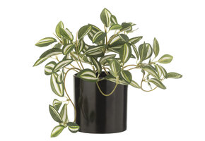J-Line Tradescantia in Pot Kunstplant Groen/Wit