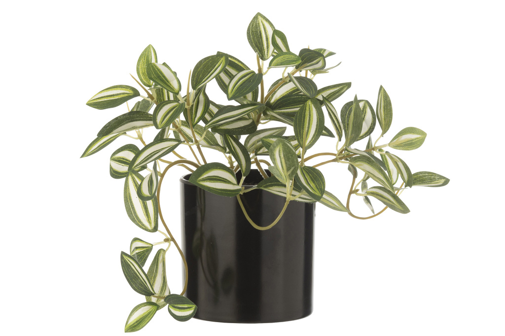 J-Line Tradescantia in Pot Kunstplant Groen/Wit