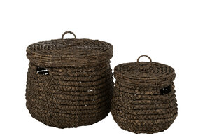 J-LINE SET VAN 2 MANDEN MAURICE WATERHYACINT DONKERBRUIN