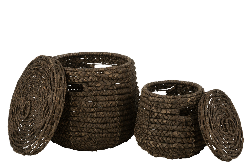 J-LINE SET VAN 2 MANDEN MAURICE WATERHYACINT DONKERBRUIN