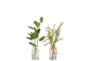 J-LINE EUCALYPTUS/TAKKEN IN GLAZEN VAAS TRANSPARANT/KUNSTSTOF GROEN - TWEE STUKS