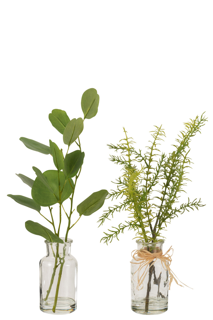 J-LINE EUCALYPTUS/TAKKEN IN GLAZEN VAAS TRANSPARANT/KUNSTSTOF GROEN - TWEE STUKS