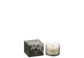 J-LINE SCENTED CANDLE CARDAMON LIME SOY WAX SMALL - 50 HOURS