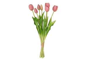 J-LINE BOEKET TULPEN 7 STUKS – PU ROZE LARGE