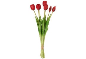 J-LINE BOEKET TULPEN 7 STUKS – PU ROOD LARGE