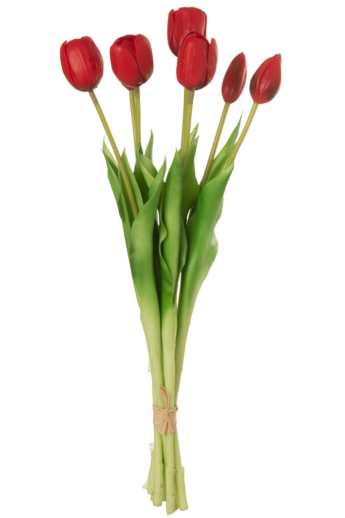 J-LINE BOEKET TULPEN 7 STUKS – PU ROOD LARGE