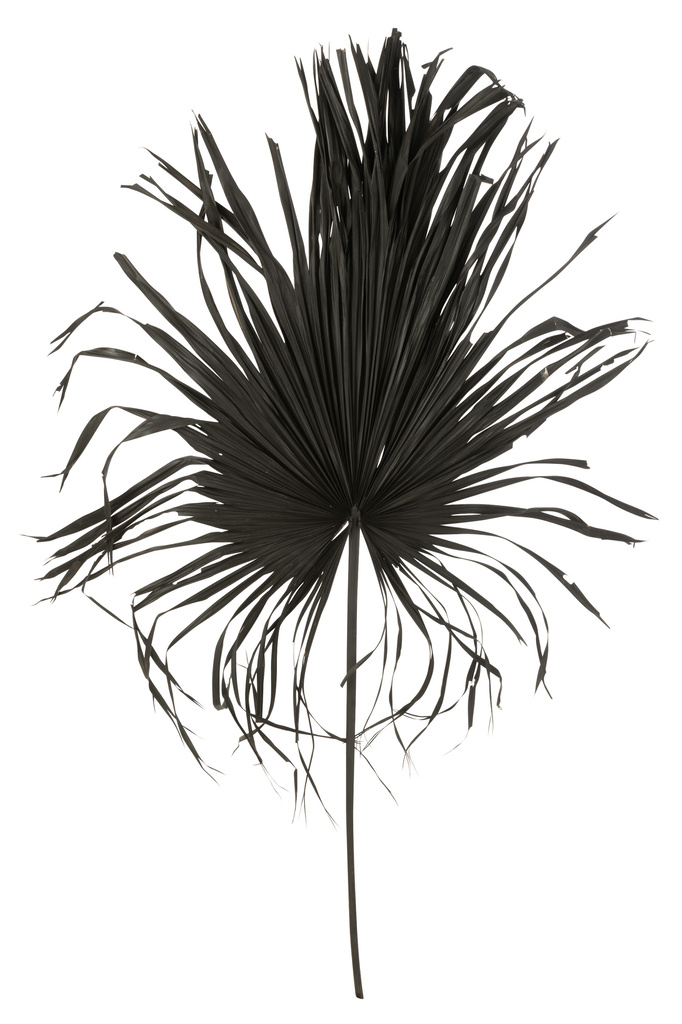 J-LINE PALMLEAF DECO PALMTREE ZWART