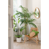 J-LINE KUSSEN TUFTED CURVES + FRANJES – WOL/KATOEN – GROEN – 45 CM