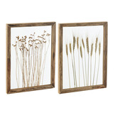 J-LINE WANDDECORATIE CEREAL GRENS DENNENHOUT/GLAS TRANSPARANT/BRUIN (SET VAN 2)