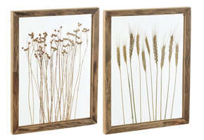 J-LINE WANDDECORATIE CEREAL GRENS DENNENHOUT/GLAS TRANSPARANT/BRUIN (SET VAN 2)