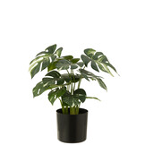 J-LINE MONSTERA IN POT – KUNSTPLANT GROEN