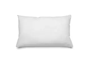 BAZAR BIZAR BINNENKUSSEN – WIT – 30×60 CM
