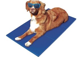 KOELMAT XL VOOR HOND EN KAT – 80×60 CM – COOLING MAT BLAUW