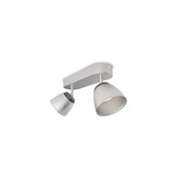 PHILIPS MYLIVING SPOTLAMP COUNTY RVS 2-SPOT