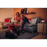 HÖFATS SPIN 120 SFEERLANTAARN – TAFELVUUR & DESIGNLAMP IN ÉÉN