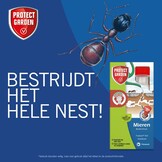 PROTECT GARDEN FASTION KO VLOEIBAAR TEGEN MIEREN – 250 ML CONCENTRAAT