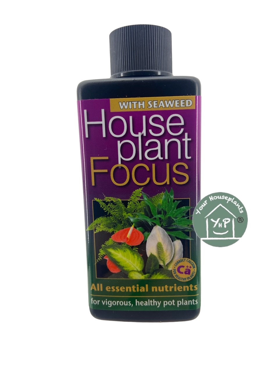 GROWTH TECHNOLOGY HOUSEPLANT FOCUS 500 ML