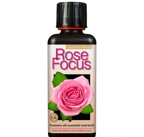GROWTH TECHNOLOGY ROSE FOCUS 500ML