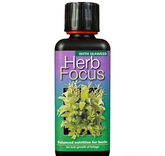 GROWTH TECHNOLOGY HERB FOCUS 100 ML
