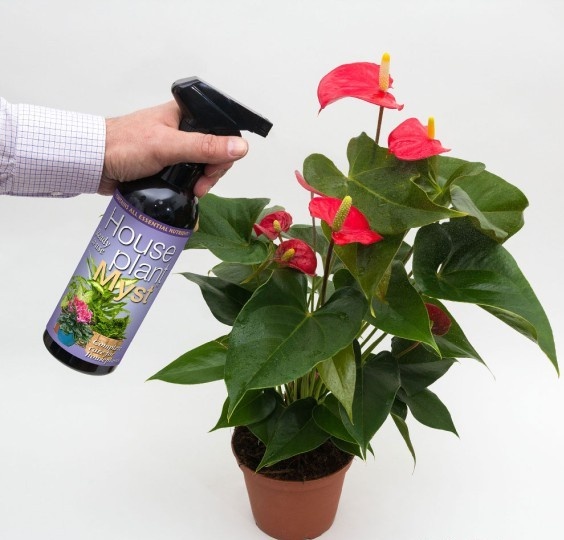 GROWTH TECHNOLOGY HOUSEPLANT MYST – 300 ML